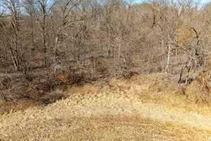 1175 Pike 41, Bowling Green, MO 63334 - Photo 80