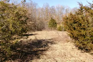 1175 Pike 41, Bowling Green, MO 63334 - Photo 88