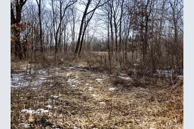 1175 Pike 41, Bowling Green, MO 63334 - Photo 72