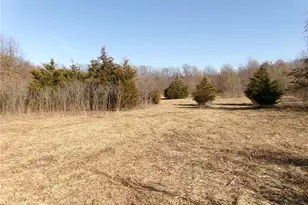 1175 Pike 41, Bowling Green, MO 63334 - Photo 86