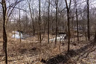 1175 Pike 41, Bowling Green, MO 63334 - Photo 62