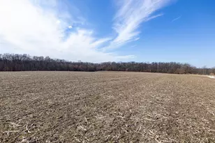 1175 Pike 41, Bowling Green, MO 63334 - Photo 52