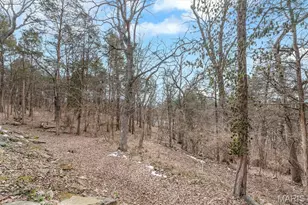 3646 Wheatfield Cir, Byrnes Mill, MO 63051 - Photo 32