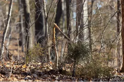 142 Major Drive, Camdenton, MO 65020 - Photo 66