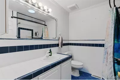 393 Martin Field Court, Villa Ridge, MO 63089 - Photo 22