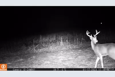 17053 Siloam Avenue, Mendon, MO 64660 - Photo 60