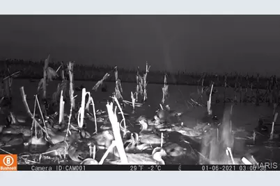 17053 Siloam Avenue, Mendon, MO 64660 - Photo 50