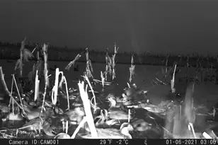 17053 Siloam Ave, Mendon, MO 64660 - Photo 50