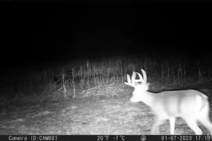 17053 Siloam Ave, Mendon, MO 64660 - Photo 62