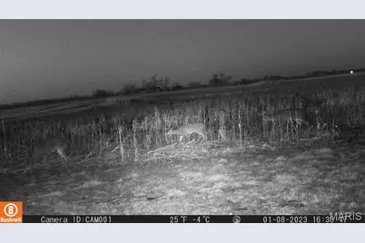 17053 Siloam Avenue, Mendon, MO 64660 - Photo 54