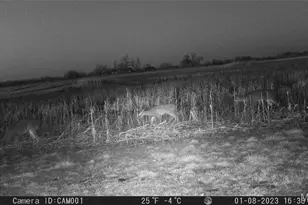 17053 Siloam Ave, Mendon, MO 64660 - Photo 54