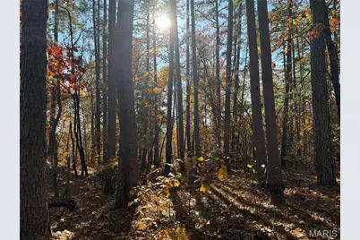 0 Madison 325, Fredericktown, MO 63645 - Photo 20