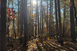 0 Madison 325, Fredericktown, MO 63645 - Photo 20