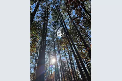 0 Madison 325, Fredericktown, MO 63645 - Photo 22