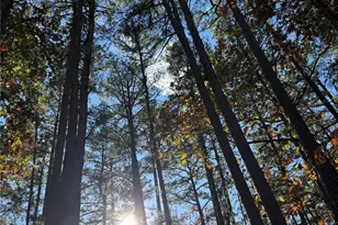 0 Madison 325, Fredericktown, MO 63645 - Photo 22