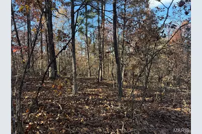 0 Madison 325, Fredericktown, MO 63645 - Photo 18