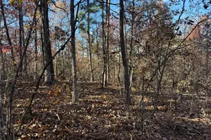 0 Madison 325, Fredericktown, MO 63645 - Photo 18