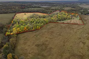 1310 Tillman Rd, Farmington, MO 63640 - Photo 2