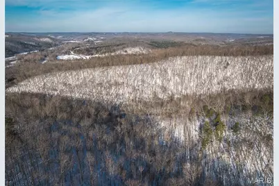 000 Highway 49, Black Jack, MO 63625 - Photo 12