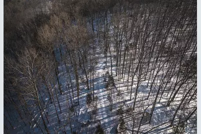 000 Highway 49, Black Jack, MO 63625 - Photo 8