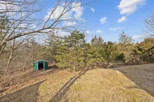 4671 Cedar Dr, Hillsboro, MO 63050 - Photo 12