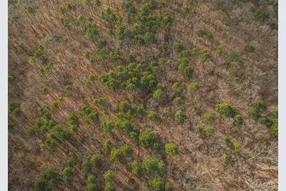 1 Bust Subdivision Rd, Potosi, MO 63664 - Photo 32