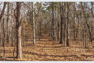 2 Mayo Ln, Potosi, MO 63664 - Photo 12