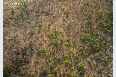 2 Mayo Ln, Potosi, MO 63664 - Photo 36