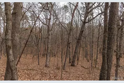 2 Mayo Ln, Potosi, MO 63664 - Photo 18