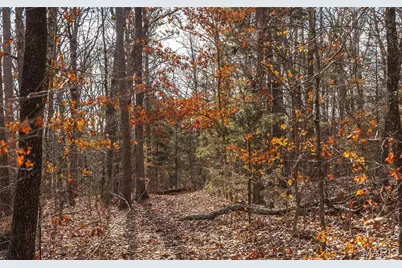 2 Mayo Ln, Potosi, MO 63664 - Photo 10