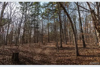2 Mayo Ln, Potosi, MO 63664 - Photo 8