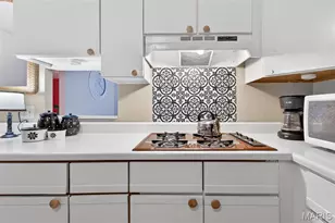 2957 Caspian Ln, Unincorporated, MO 63125 - Photo 28