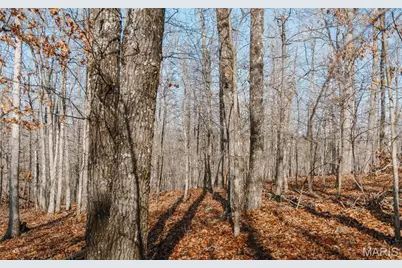 000 County Road 352, Piedmont, MO 63957 - Photo 34