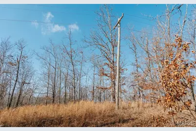 000 County Road 352, Piedmont, MO 63957 - Photo 28