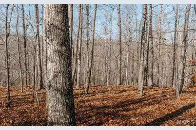 000 County Road 352, Piedmont, MO 63957 - Photo 36