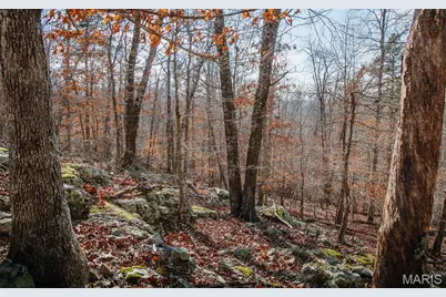 000 County Road 352, Piedmont, MO 63957 - Photo 26