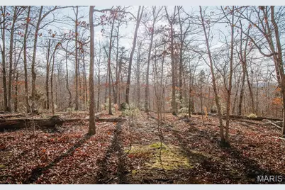 000 County Road 352, Piedmont, MO 63957 - Photo 24