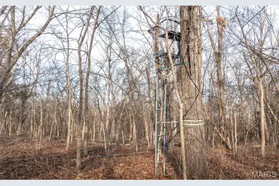 00 Ware Road, Middletown, MO 63359 - Photo 38