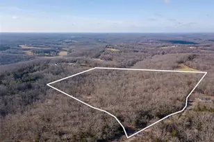 317 Fern Ct, Saint Clair, MO 63077 - Photo 1