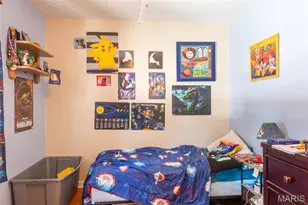 12530 Peter Moore Ln, De Soto, MO 63020 - Photo 56