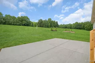 161 Pellin's Ct, Washington, MO 63090 - Photo 8