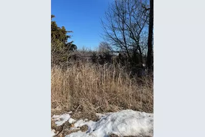 Lot 7 Parkview Farms, Blackwell, MO 63626 - Photo 2