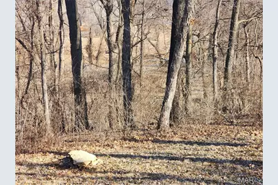 6601 Rivercrest Drive, Bonne Terre, MO 63628 - Photo 10