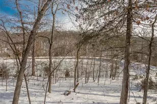 835 Mitten Ridge Dr, Innsbrook, MO 63390 - Photo 24