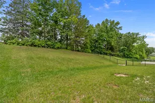 534 Leather Reins Dr, Wentzville, MO 63385 - Photo 54