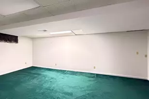 113 Parkview Dr, Crystal City, MO 63019 - Photo 48