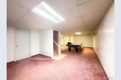 113 Parkview Drive, Crystal City, MO 63019 - Photo 52