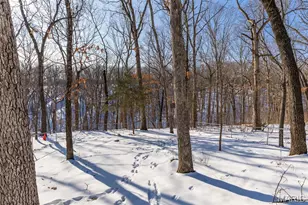 1900 Chippendale Ln, Imperial, MO 63052 - Photo 6