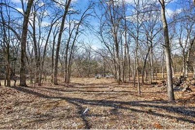 231 Fiddlecreek Ridge Road, Wentzville, MO 63385 - Photo 30