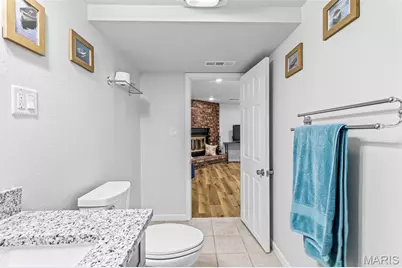 617 Marseilles Drive, Bonne Terre, MO 63628 - Photo 84